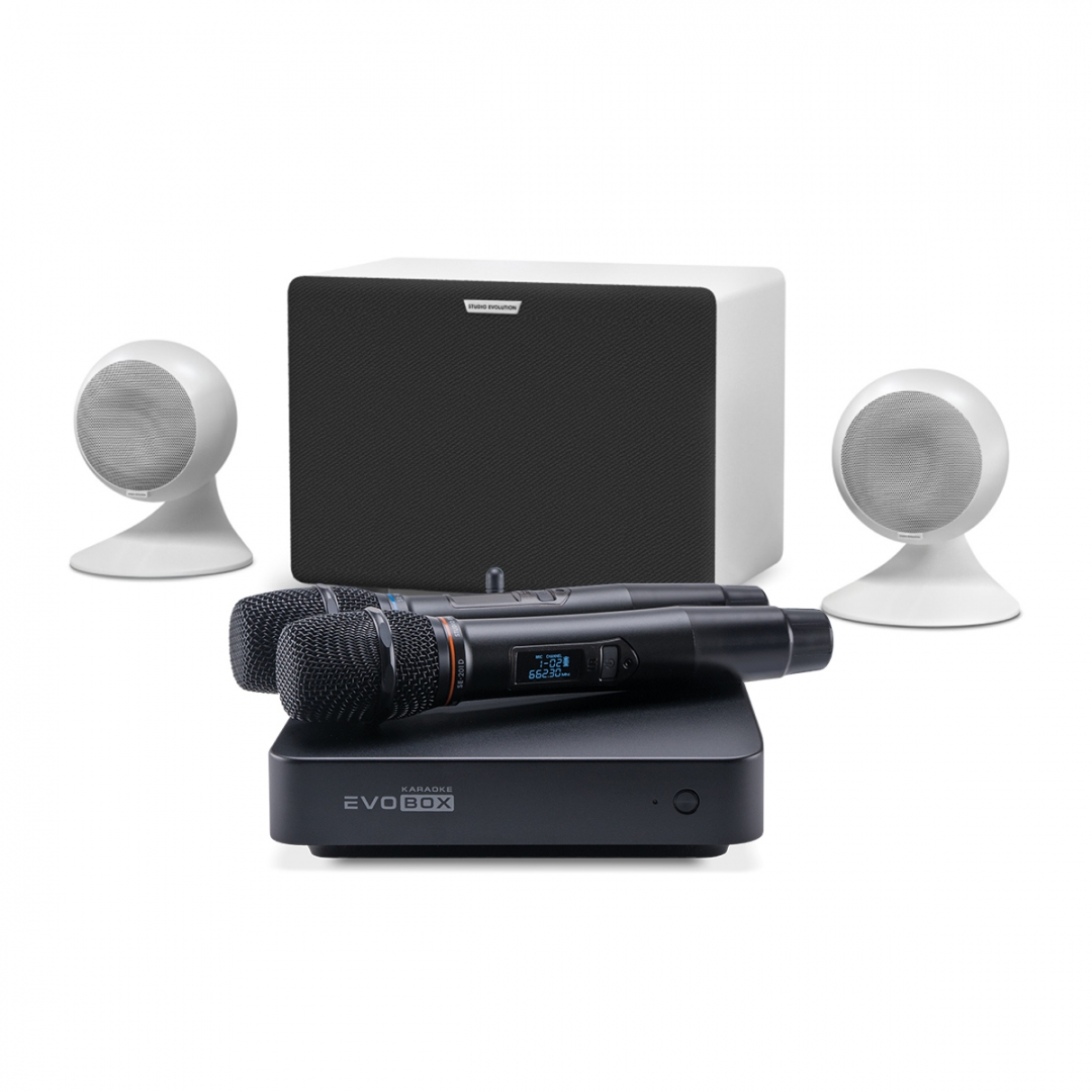 караоке-комплект EVOBOX Classic + EvoSound Sphere 2.1 в Старом Осколе
